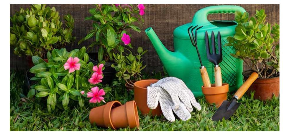 Get Your Outdoor Space Ready for Spring