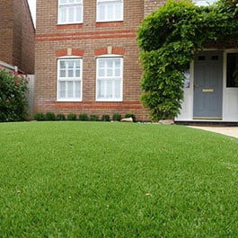 ArtificialGrass.com Astroturf