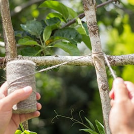 Garden Twine