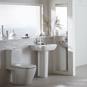 Essential Fuchsia Range