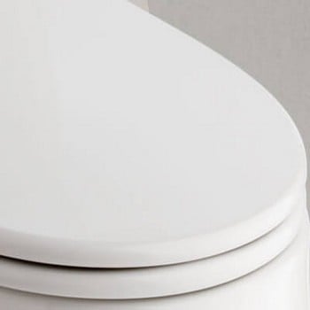 Essential Toilet Seats