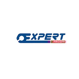 Expert