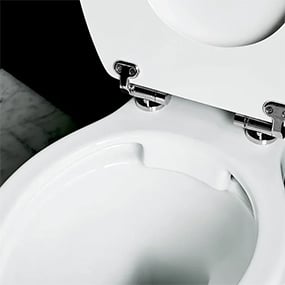 Rimless Toilets