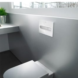 Roca Flush Plates