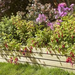 Rowlinson 8" Ledbury Slat Border Edging - Pack of 4 - BFLED84