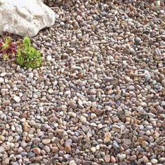 Kelkay Quartzite Pea Garden Pebbles 10-22mm - Bulk Bag - 7025
