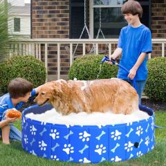 PawHut Foldable Pet Paddling Pool 120 x 30cm Diameter - Blue/White - D01-031V02