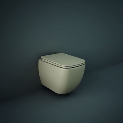 RAK Ceramics Feeling Soft Close Toilet Seat & Cover - Matt Cappuccino - MPSC3901514
