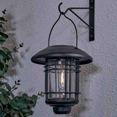 Forum Lighting Horden Hanging Solar Garden Lantern 15 Lumens - Black - ZN-42033