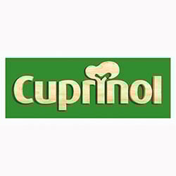 Cuprinol